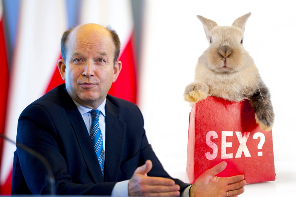 V Poľsku sa rodí málo detí, vláda pomocou reklamy nabáda napodobniť sexuálny život králikov