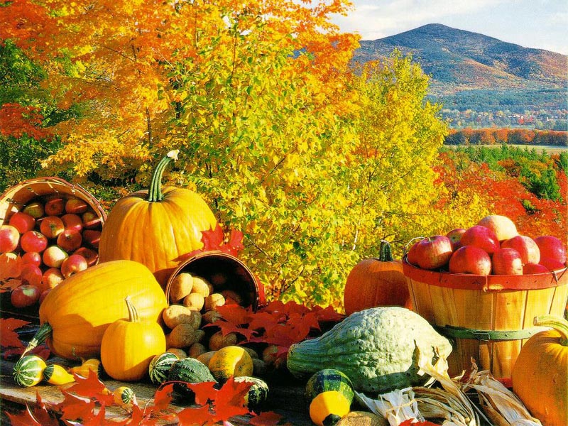 Historický kalendár: Jesenná rovnodennosť či zverstvá v Osvienčime. Čím je slávny 23. september?